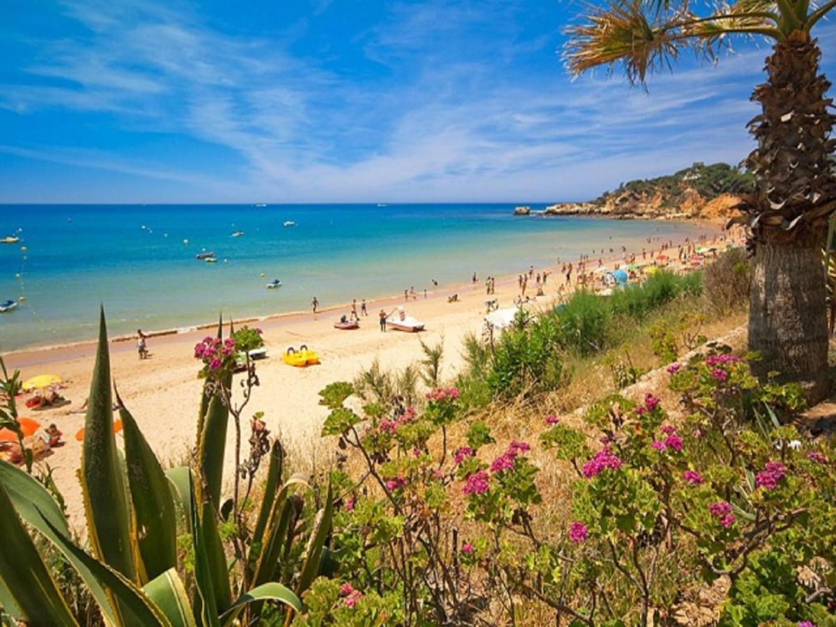 V4, Villa Jardins Branqueira Near Beach, Albufeira Extérieur photo