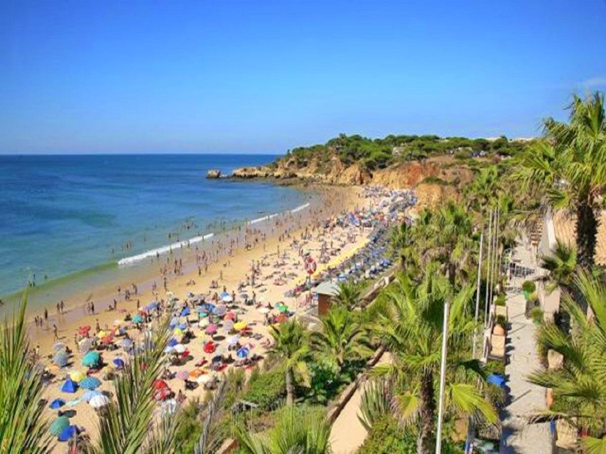 V4, Villa Jardins Branqueira Near Beach, Albufeira Extérieur photo